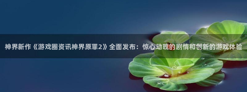 高德娱乐注册服务条款：神界新作《游戏圈资讯神界原罪2》全面发
