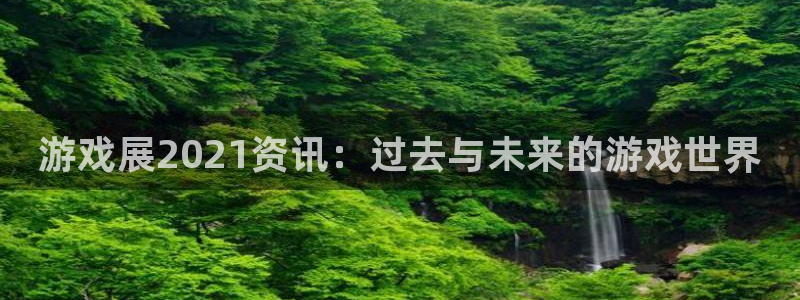 高德娱乐app下载：游戏展2021资讯：过去与未来的游戏世界
