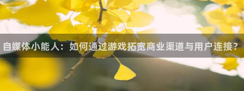 高德娱乐官方平台：自媒体小能人：如何通过游戏拓宽商业渠道与用