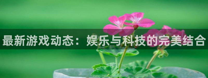 高德娱乐网址注册：最新游戏动态：娱乐与科技的完美结合
