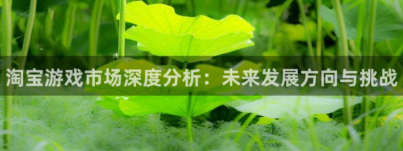 高德娱乐平台登录：淘宝游戏市场深度分析：未来发展方向与挑战