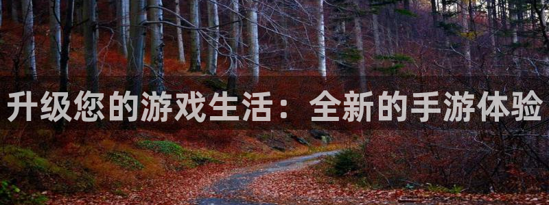 高德娱乐注册地址：升级您的游戏生活：全新的手游体验