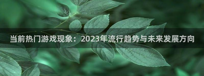 高德娱乐登录：当前热门游戏现象：2023年流行趋势与未来发展