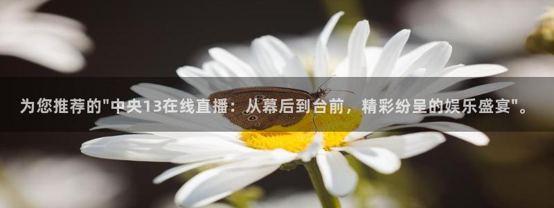 919直播体育：为您推荐的\