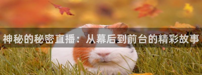 919直播间现场直播