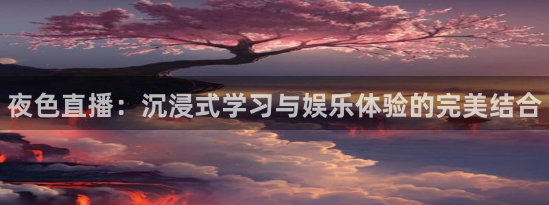 919体育专业直播平台：夜色直播：沉浸式学习与娱乐体验的完美结合
