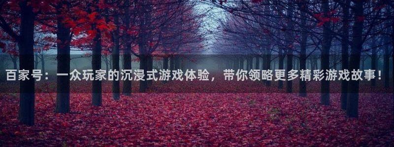 高德娱乐平台注册：百家号：一众玩家的沉浸式游戏体验，带你领略